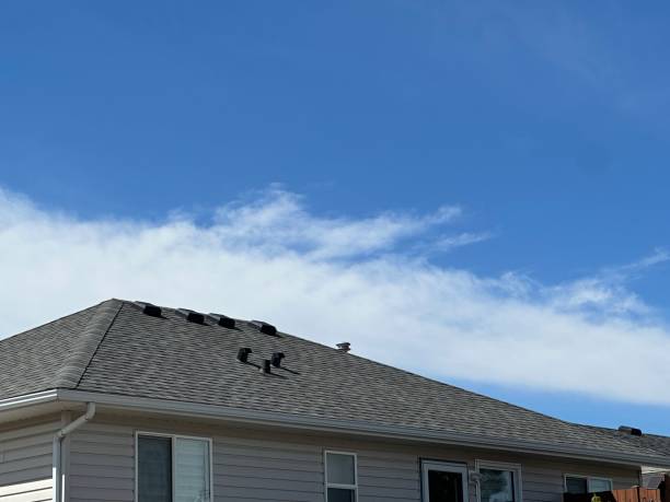 Fast & Reliable Emergency Roof Repairs in Port Barre, LA